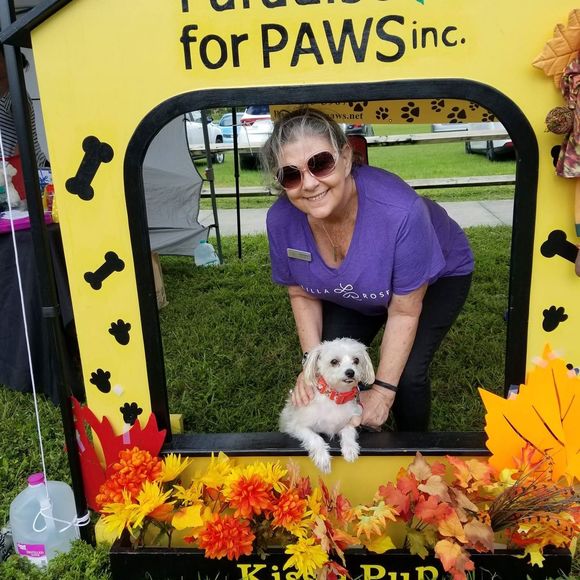 Meet your Posher, Frances - Picture 1 of 1